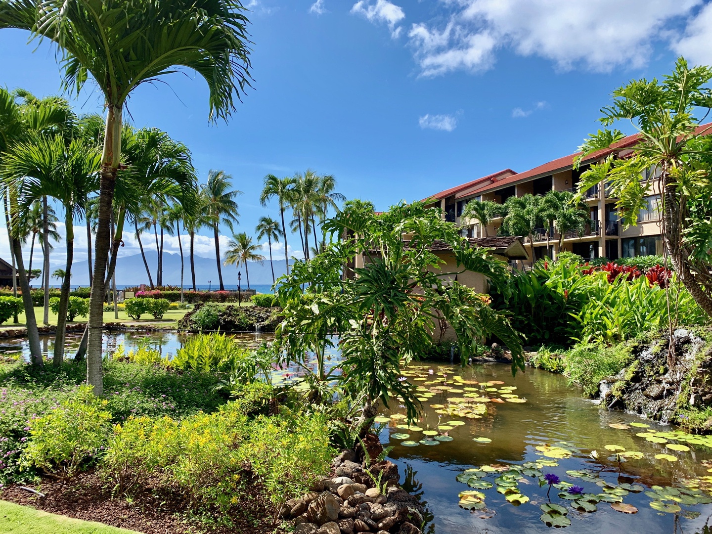 Lahaina Vacation Rentals, Papakea L-106 - Enjoy a tranquil stroll through lush gardens and serene ponds