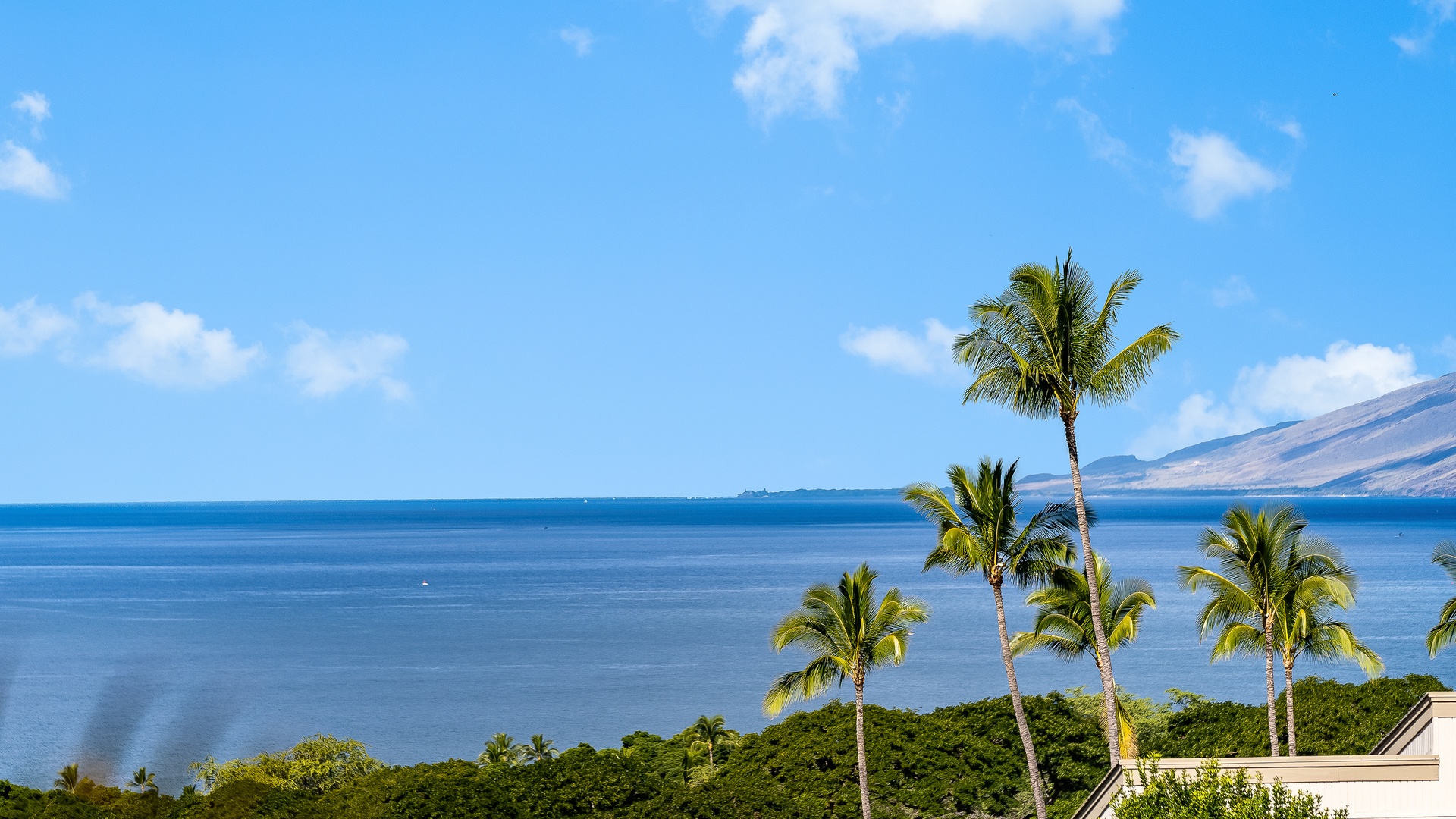 Kihei Vacation Rentals, Wailea Ekolu 1106 - Stunning view of the ocean with clear blue skies, framed by palm trees swaying in the breeze, offering a peaceful and tropical atmosphere