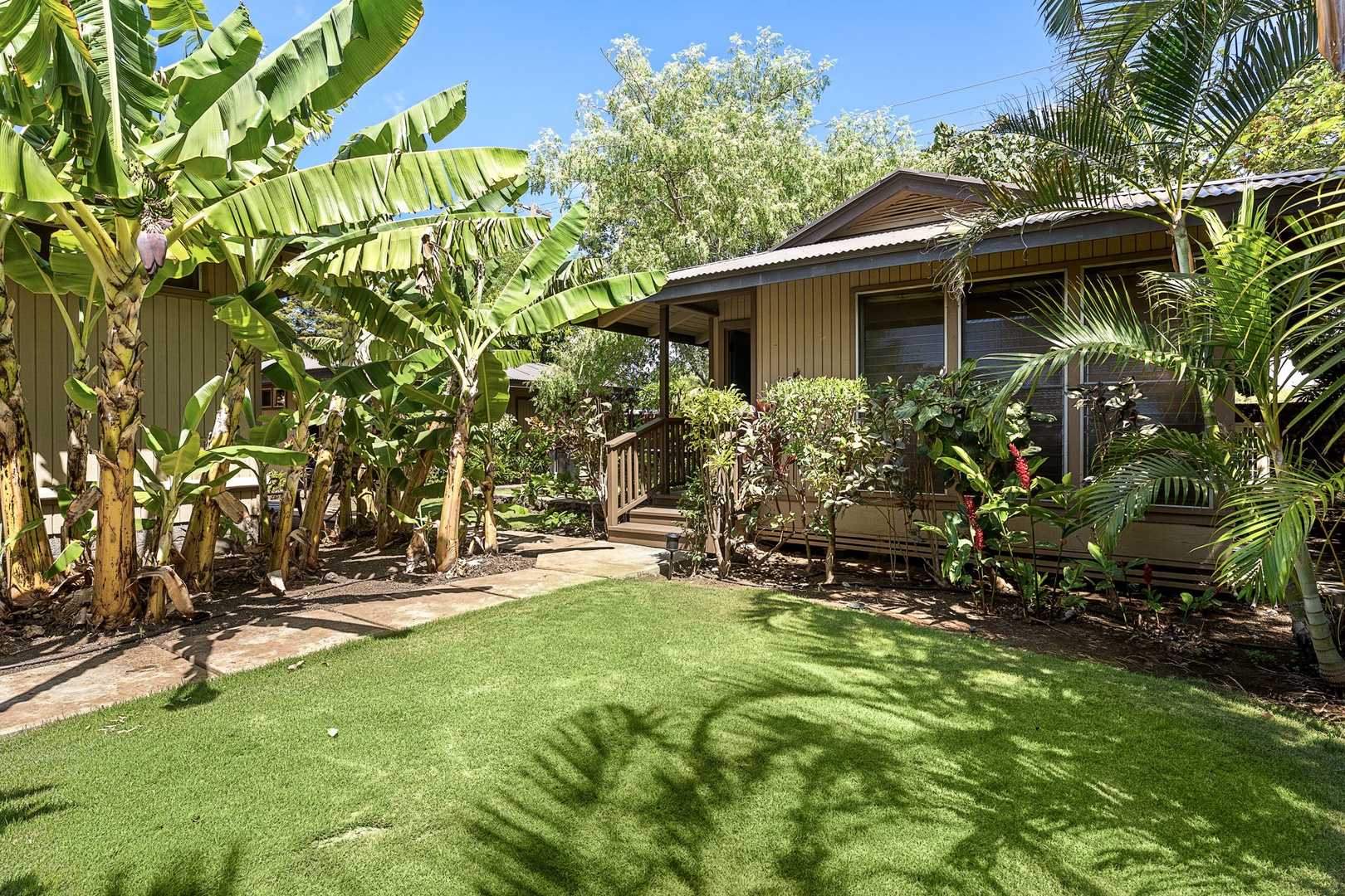 Kamuela Vacation Rentals, Island Time Retreat - Banana and palm fill the yard, green wrapping the whole property.