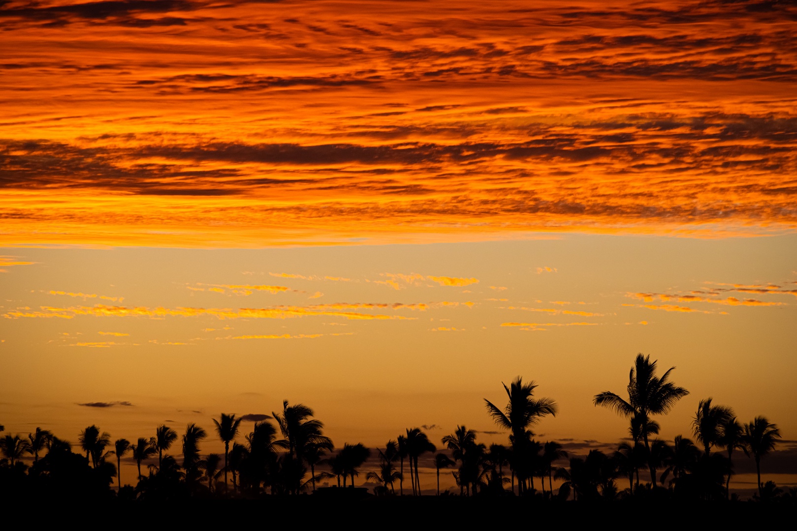 Kamuela Vacation Rentals, Champion Ridge 7 - Evenings end in drama with bold orange and gold tones over the palms.