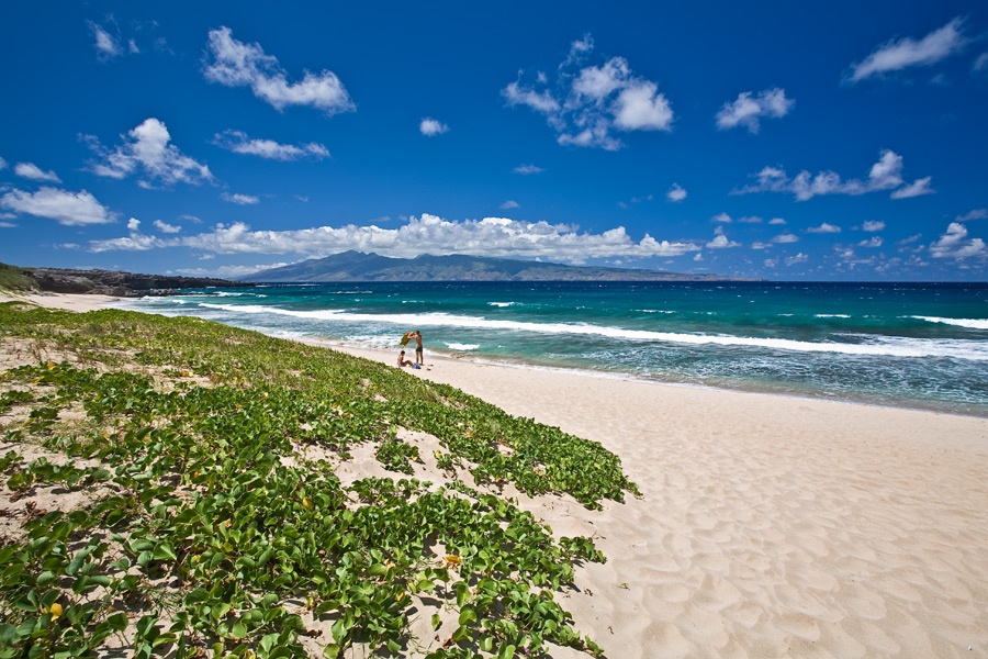 Kapalua Vacation Rentals, Ocean Dreams Premier Ocean Grand Residence 2203 at Montage Kapalua Bay* - From Ironwoods to D.T. Fleming Beach, you'll love the beautiful perfect beaches here!