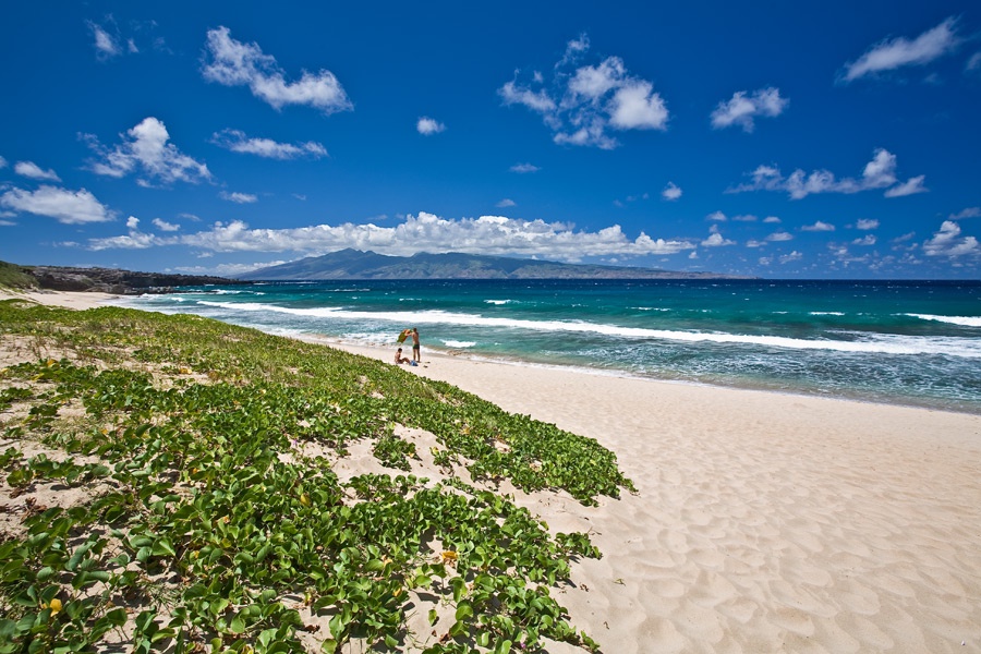 Kapalua Vacation Rentals, Ocean Dreams Villa 2203 at Montage Kapalua Bay* - From Ironwoods to D.T. Fleming Beach, you'll love the beautiful perfect beaches here!