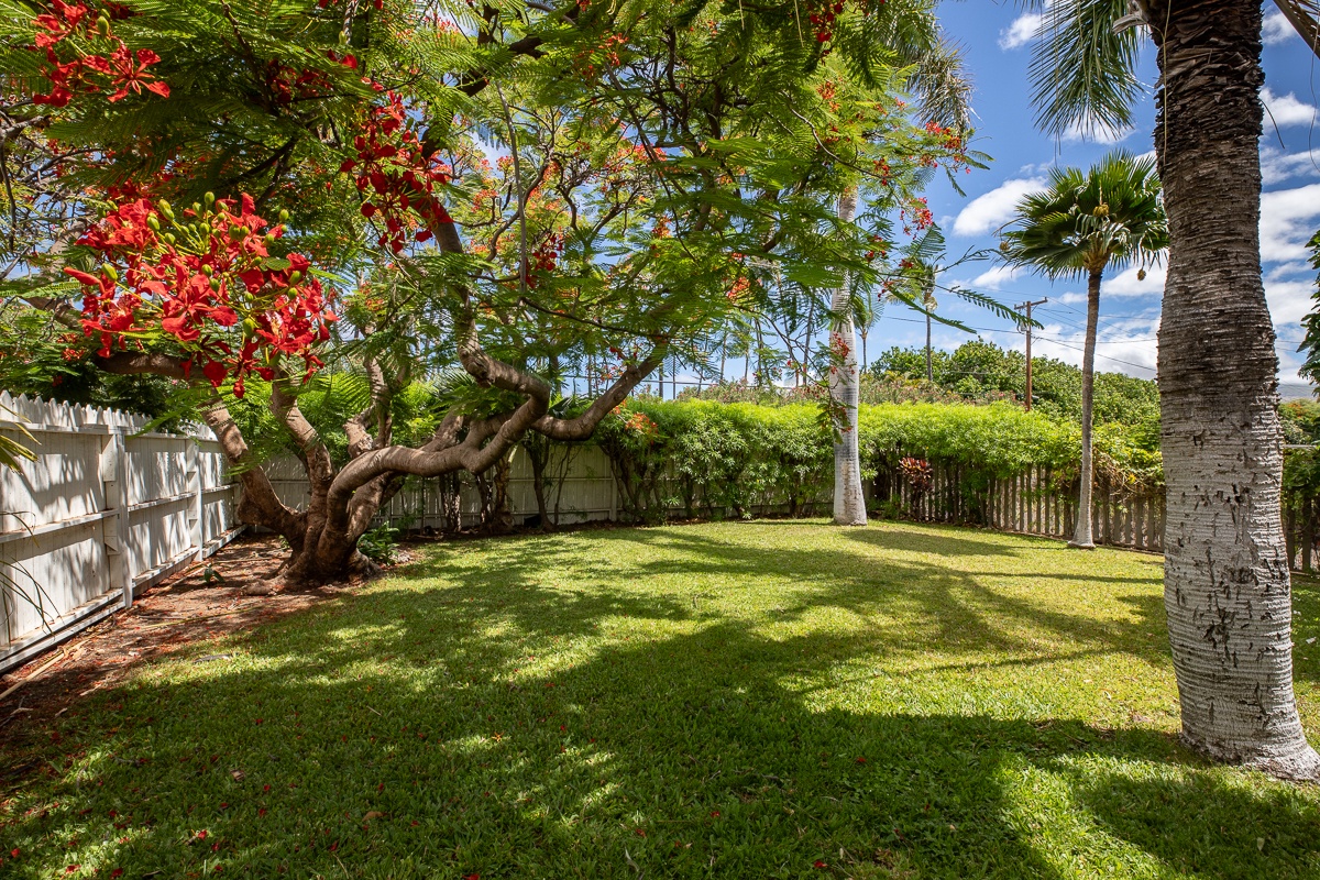 Kamuela Vacation Rentals, Honu Ohana- Puako 59 - Lush Private Yard