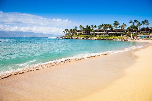 Lahaina Vacation Rentals, Aina Nalu F201: Top Floor, Hawaiian Hideaway in the Heart - Lahaina Beach
