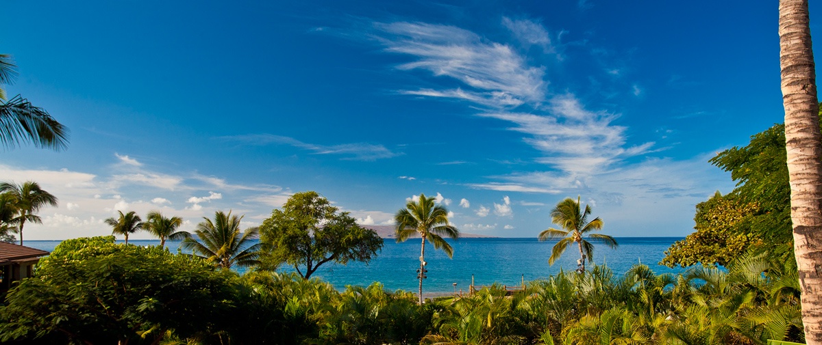 Wailea Vacation Rentals, Solara Luxe Pool Villa D101 at Wailea Beach Villas* - D101 Coco Palms Villa with Partial Ocean View and Sunset View and Plunge Pool