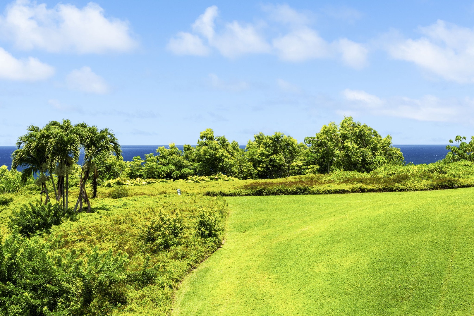 Princeville Vacation Rentals, Alii Kai 7201 - Lawns roll out toward the water across the oceanfront grounds.