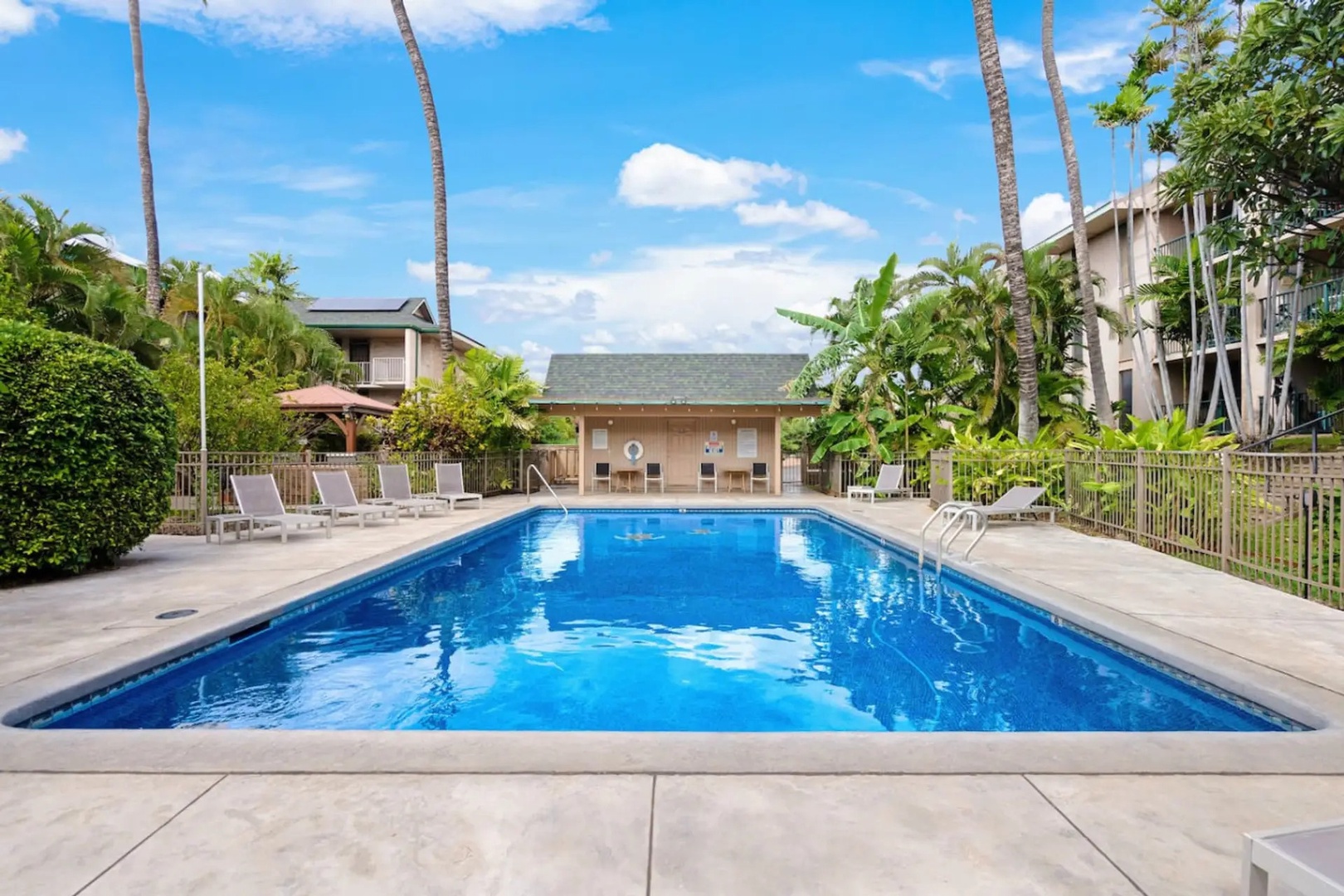 Kihei Vacation Rentals, Kalama Terrace P302 - Slip into the shared pool and the loungers are already lined up along the deck.