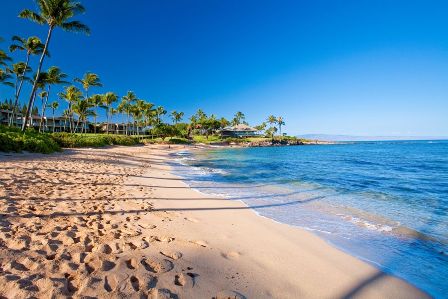 Kapalua Vacation Rentals, Ocean Dreams Villa 2203 at Montage Kapalua Bay* - Award winning Kapalua Bay and Beach Looking Towards Merriman`s Restaurant