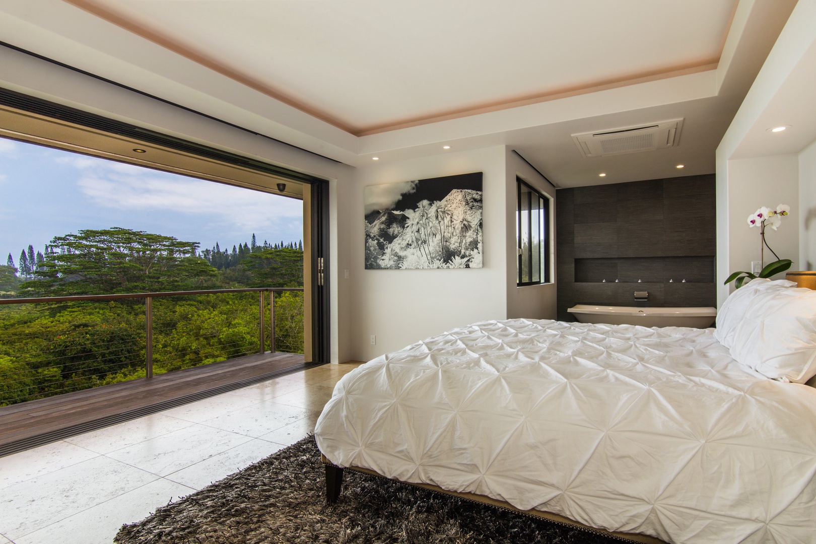 Princeville Vacation Rentals, Laulea Kailani Villa (KAUAI) - Primary bedroom view.