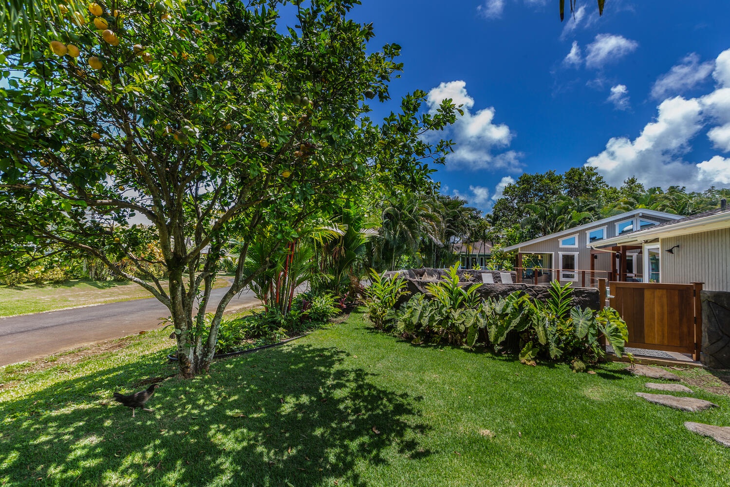 Princeville Vacation Rentals, Lani Oasis - Stroll around the beautiful garden.