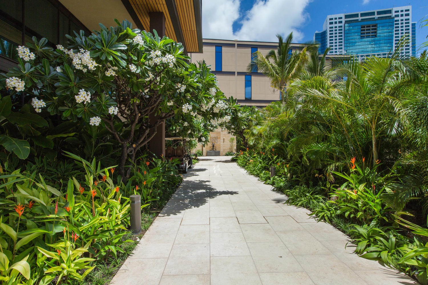 Honolulu Vacation Rentals, Park Lane Palm Resort - The "Park Lane" pathway