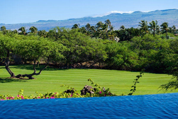 Kamuela Vacation Rentals, Canoe House & Beach Walker at Champion Ridge - Infinity pool with vibrant greenery and mountain views in the background.