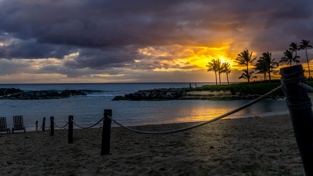 Sunset bathes the beachfront in golden light, with palm trees swaying against dramatic skies and calm waters lapping the shore—a stunning tropical retreat.