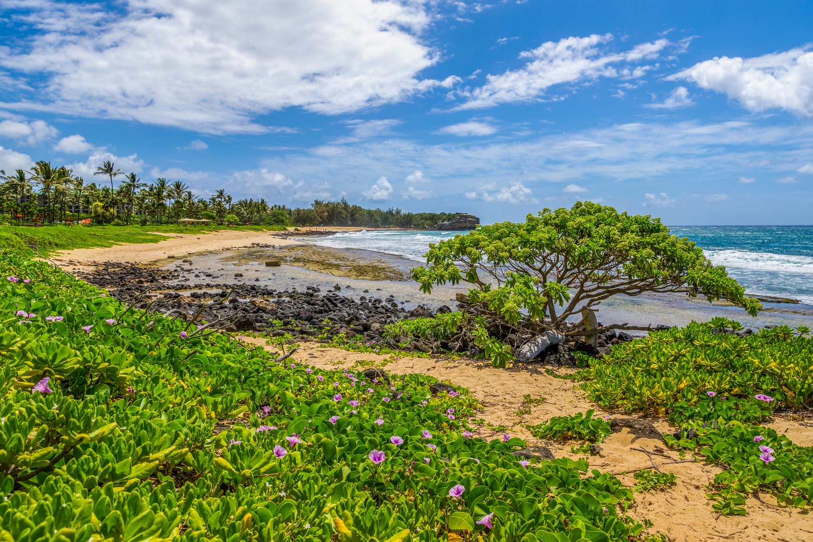 Koloa Vacation Rentals, Poipu Crater #8 - 
