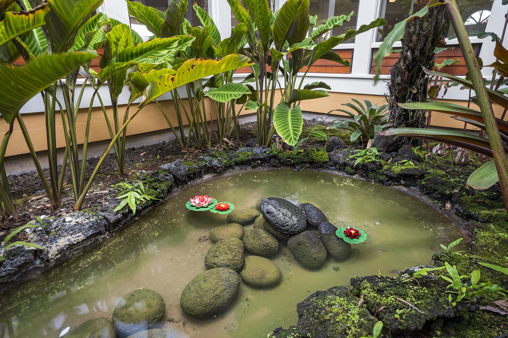 Kailua Kona Vacation Rentals, Pineapple House - Water Feature on the exterior accessible from the Primary bedroom