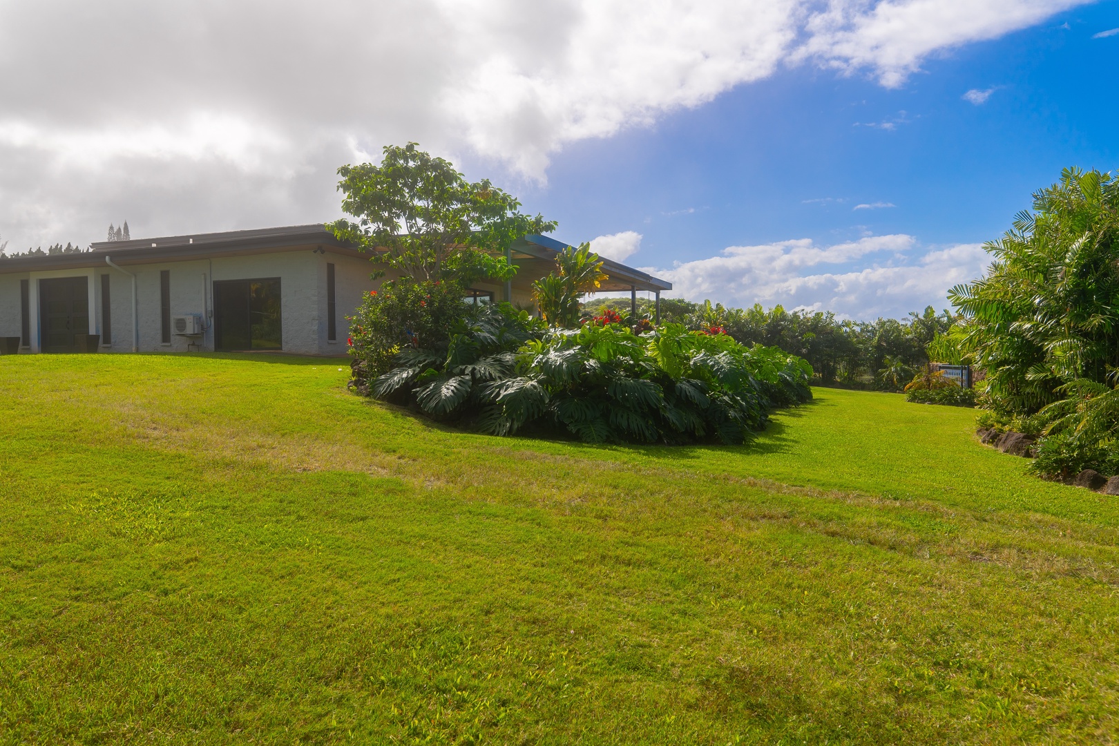 Haleiwa Vacation Rentals, Hale Mahina - Appreciate the home’s peaceful setting with a wide lawn and mature tropical plantings.