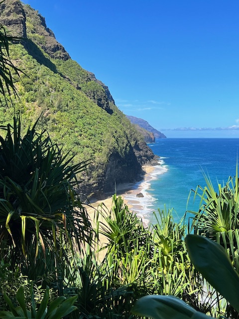 Princeville Vacation Rentals, Hale Hana Mana’o - Bask in epic ocean views and emerald peaks on nearby coastal trails.