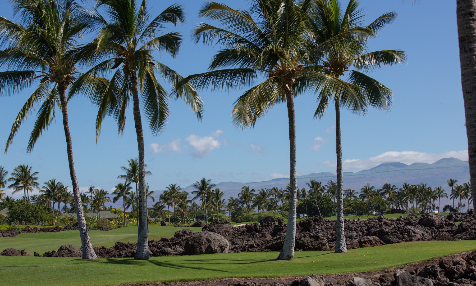 Kamuela Vacation Rentals, Mauna Lani Golf Villas C1 - Surroundings