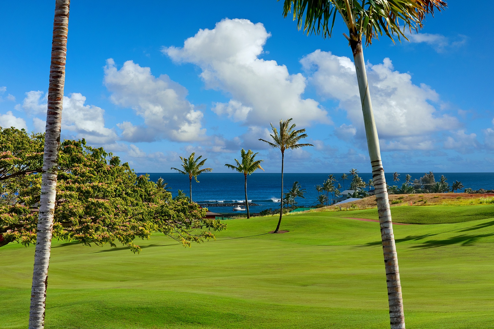 Koloa Vacation Rentals, Hale O Ka Nene - hale o ka nene_lanai2_view