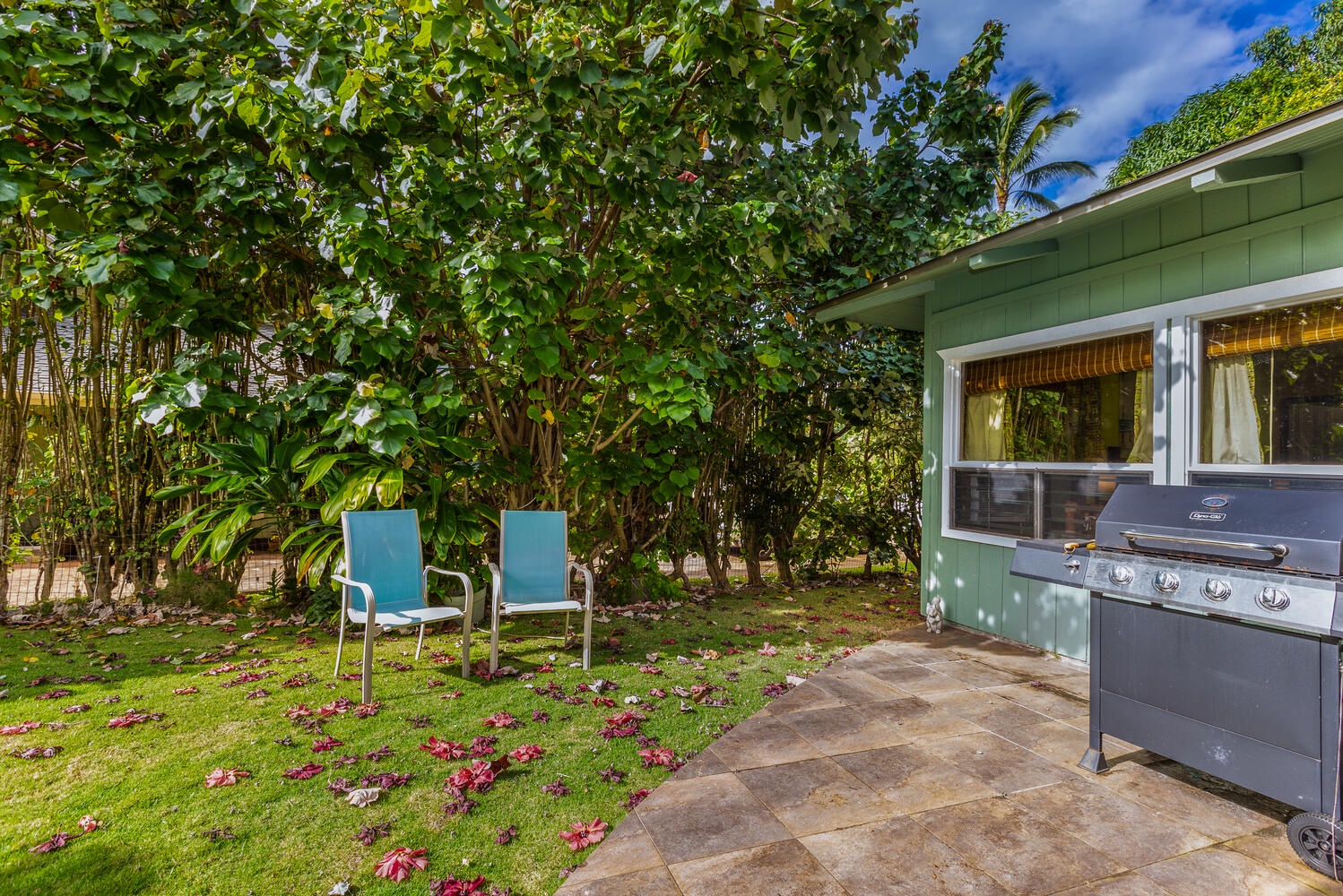 Princeville Vacation Rentals, Ailana Hale - Back yard