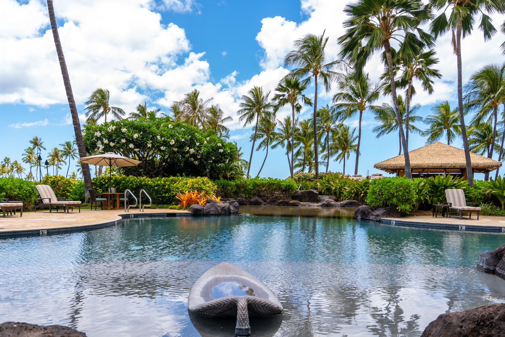 One more in-water lounger, this one under open sky and palms.