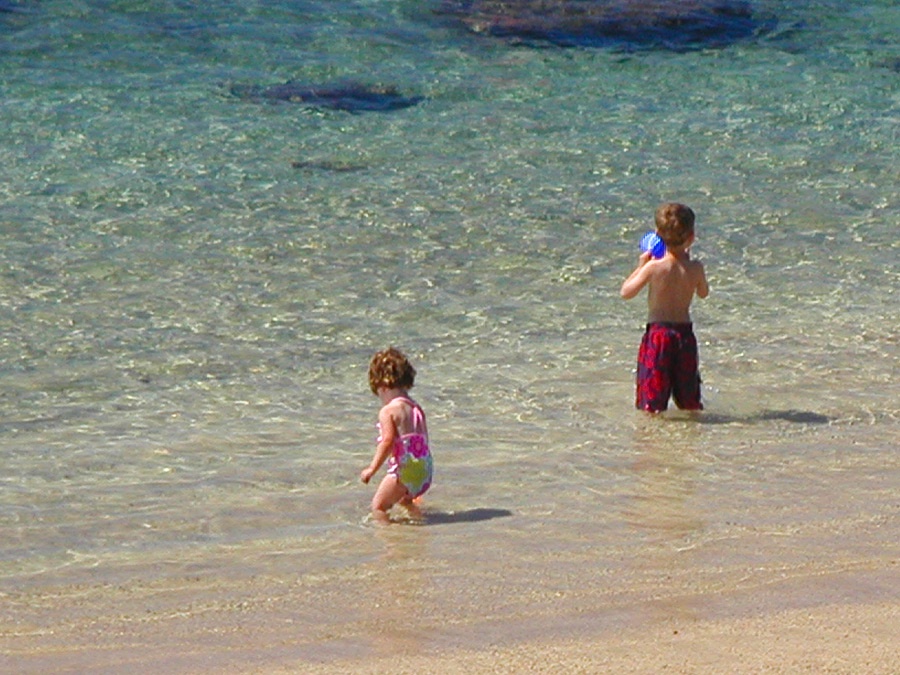 Kapalua Vacation Rentals, Ocean Dreams Premier Ocean Grand Residence 2203 at Montage Kapalua Bay* - Many Child "Keiki" Friendly Beaches along the Maui coastline