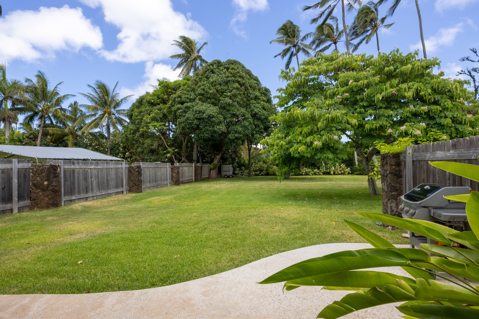 Kahuku Vacation Rentals, Hale Pellicano - Enjoy playful moments in the yard.