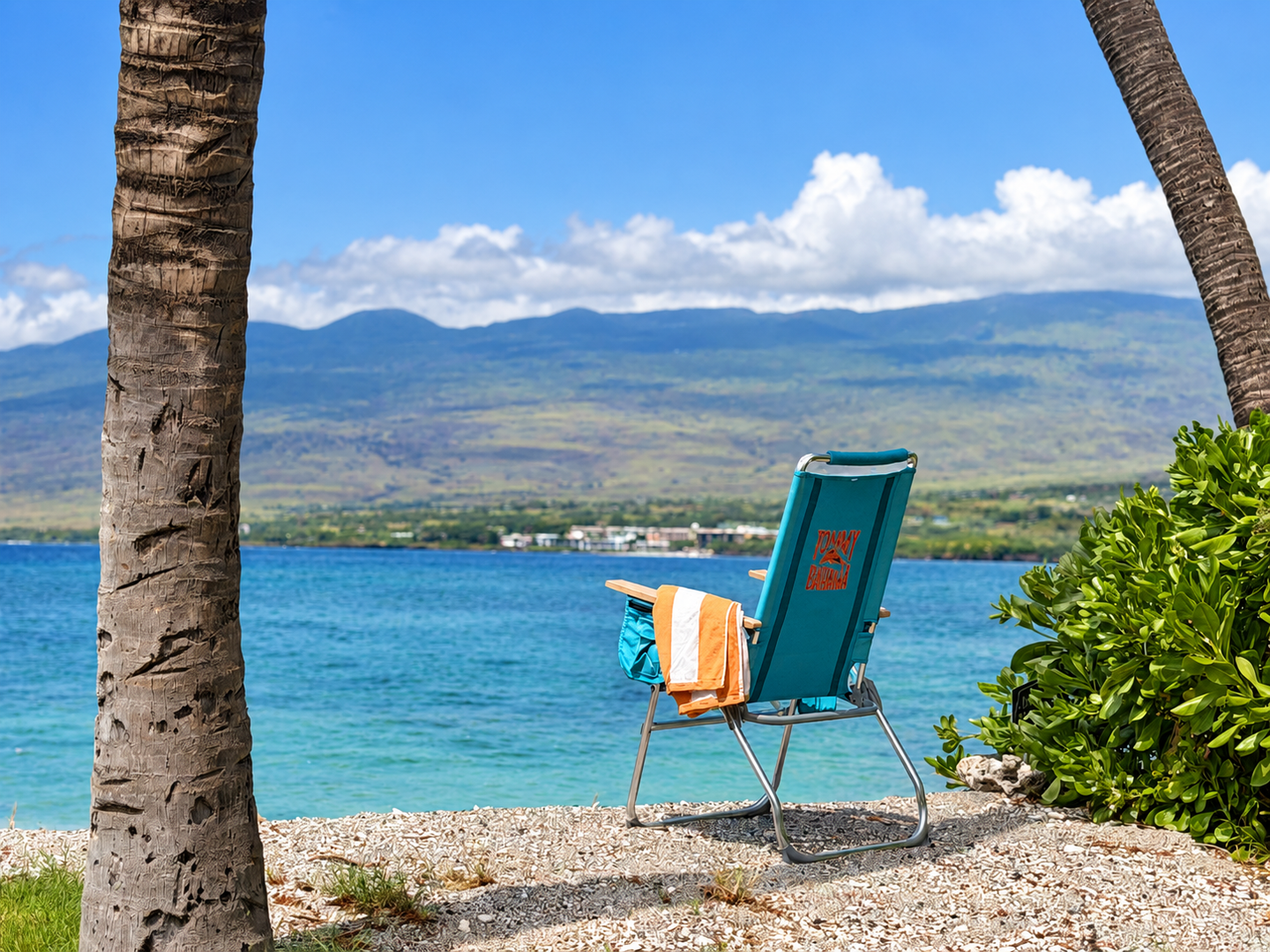 Kamuela Vacation Rentals, 4BD Estate Home at Puako Bay (74) - Take the beach chair under the palm at the water's edge, the bay wide open ahead.