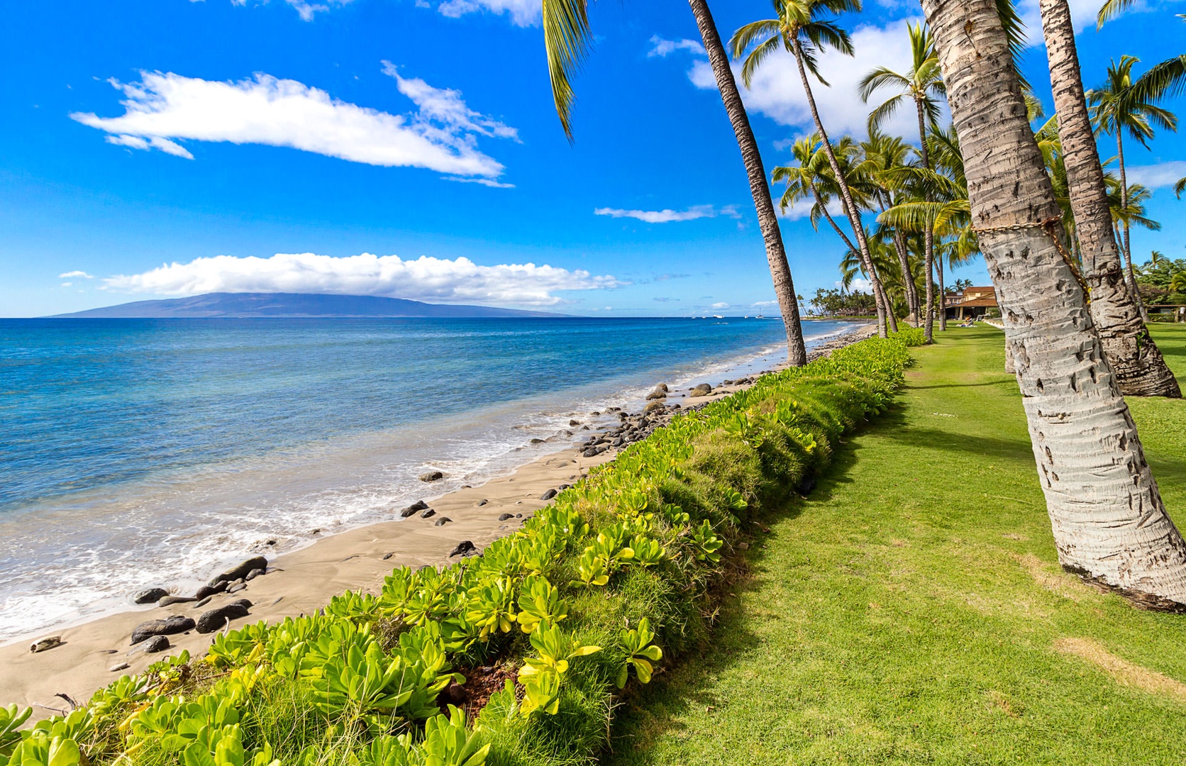 Lahaina Vacation Rentals, Puamana 240-3 - Take in the palm-lined coastline and sparkling ocean vistas from the backyard.