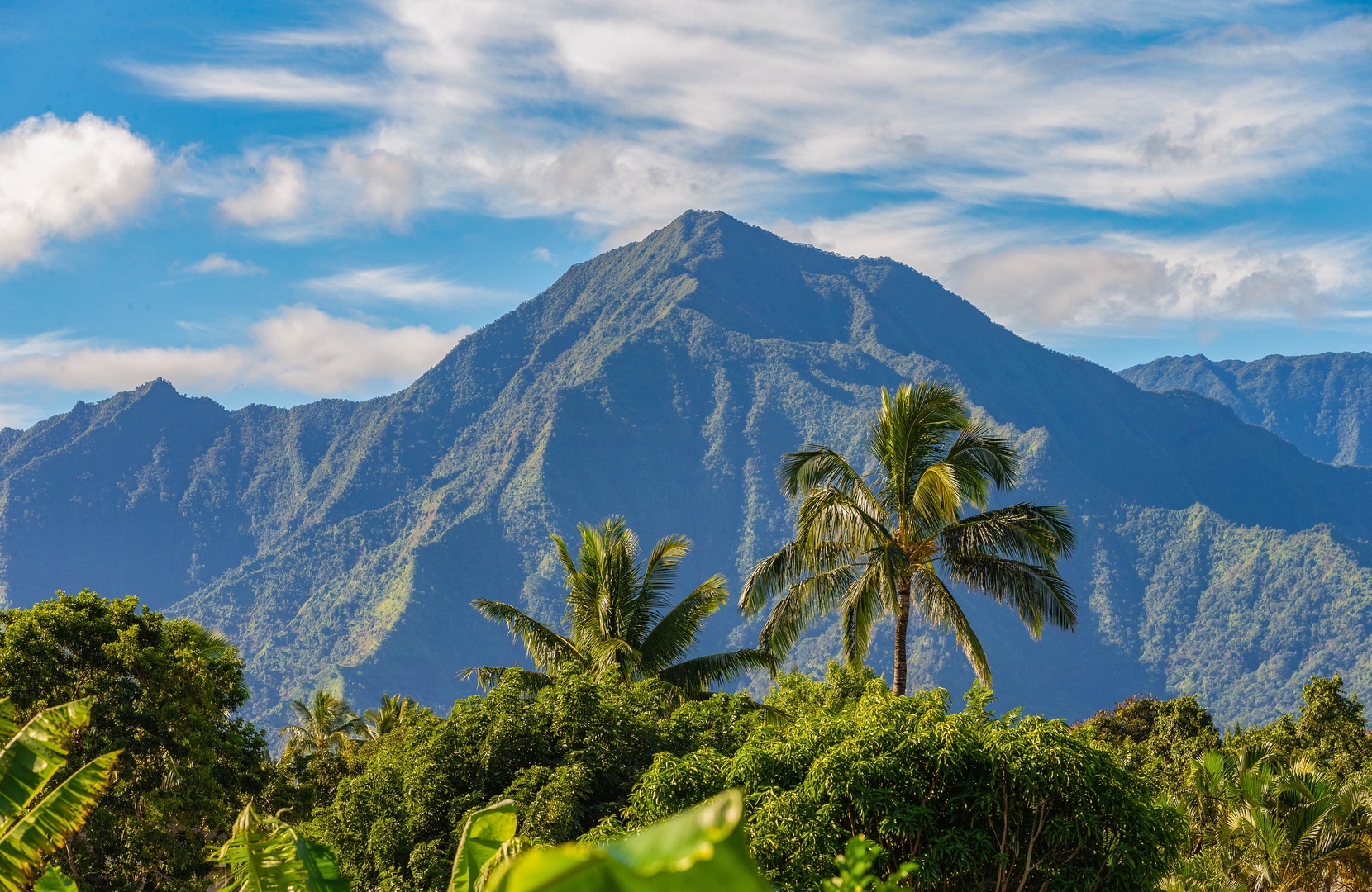 Princeville Vacation Rentals, Ola Hou - Main House - Majestic mountain view with tropical trees under a clear sky.