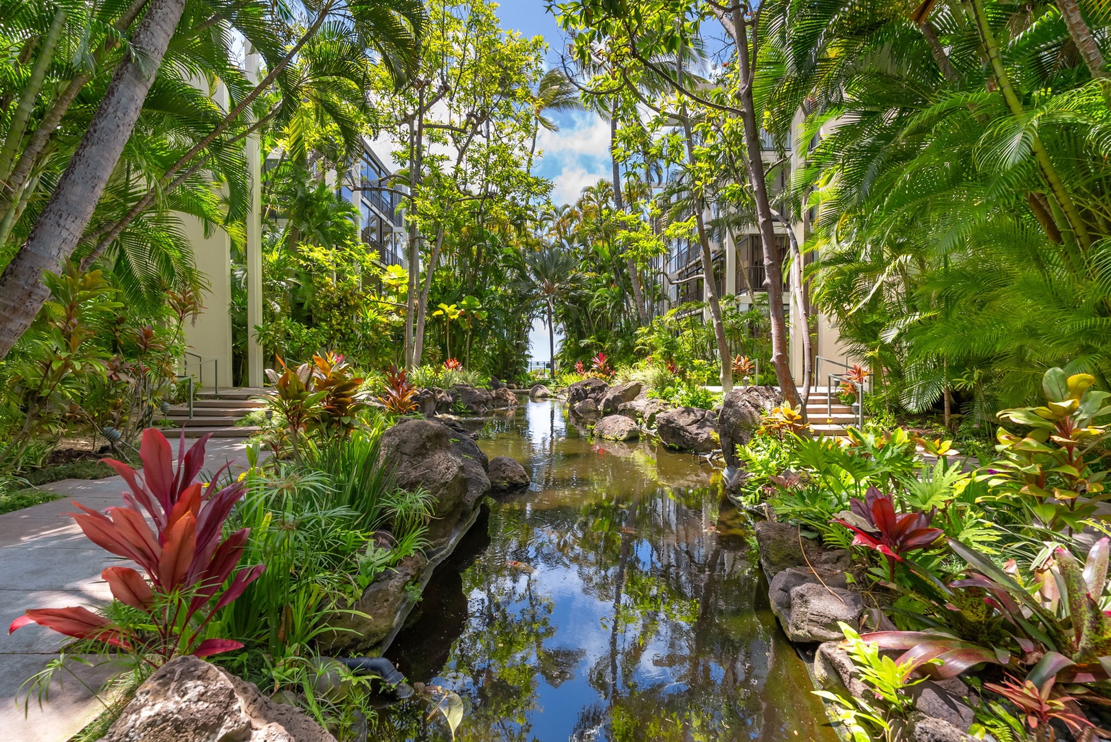 Honolulu Vacation Rentals, Kahala Beachfront Villa - The Koi pond.