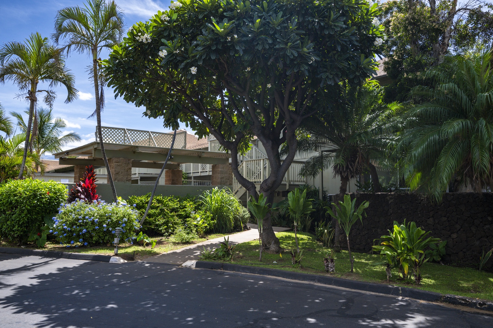 Kihei Vacation Rentals, Kihei Bay Surf B212 - Nestled among lush palms and vibrant flowering plants in a peaceful residential setting.