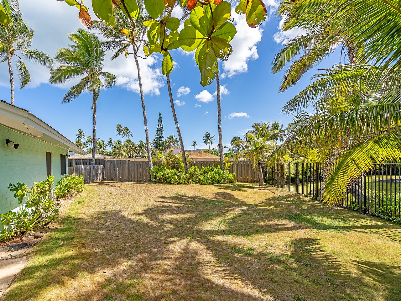 Kailua Vacation Rentals, Hale Kalio - Backyard
