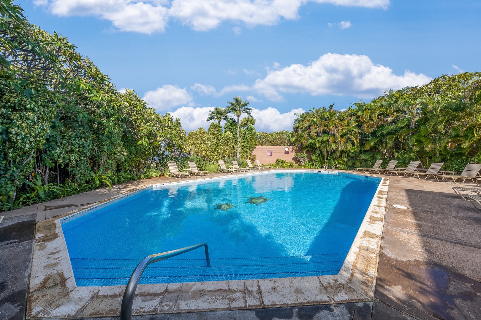 Lahaina Vacation Rentals, Kapalua Ridge 1421 - The beautiful resort pool at Kapalua Ridge Villas Resort offers a perfect spot to relax amidst tropical beauty.