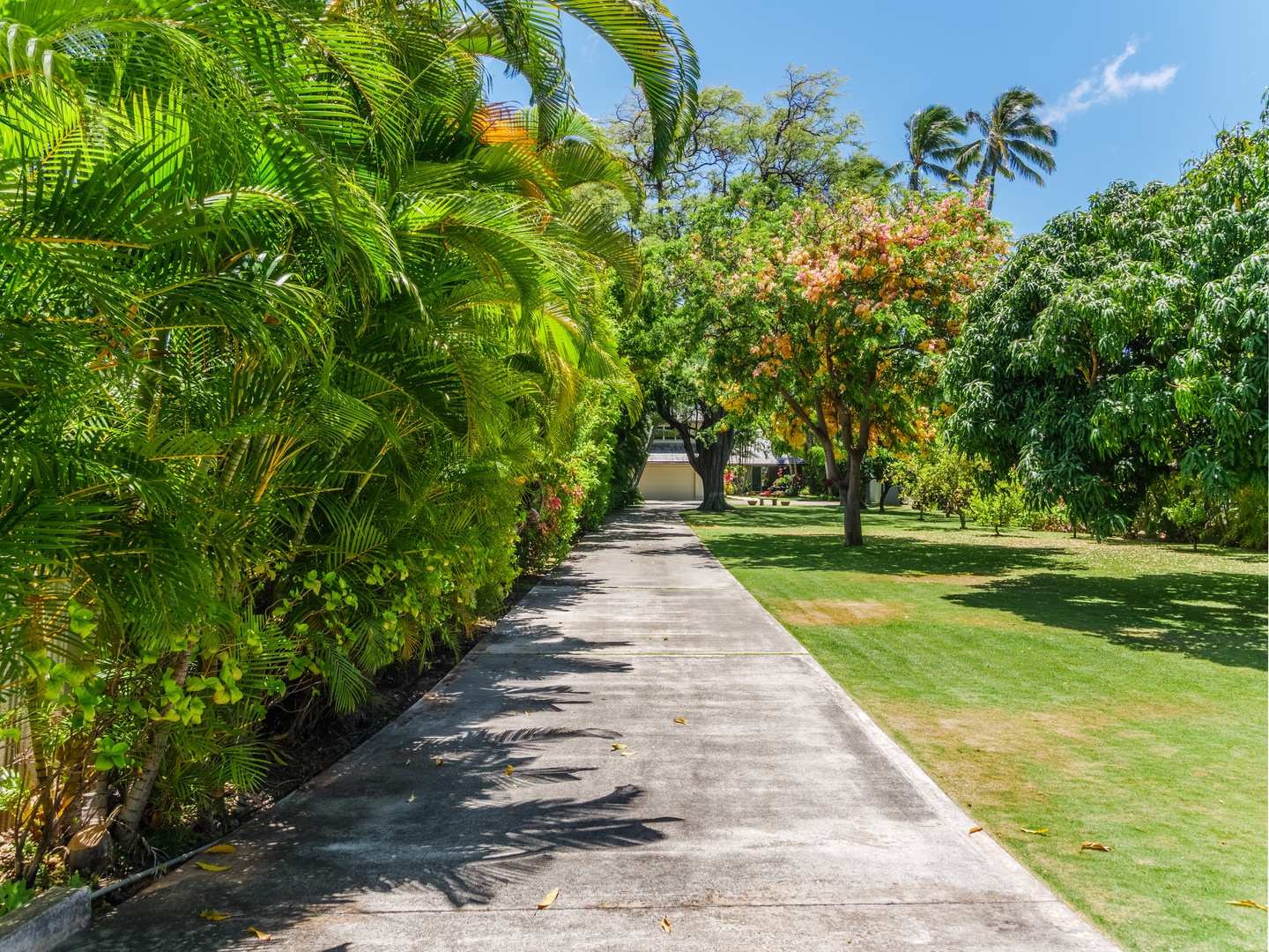 Honolulu Vacation Rentals, Paradise Beach Estate - The grand driveway