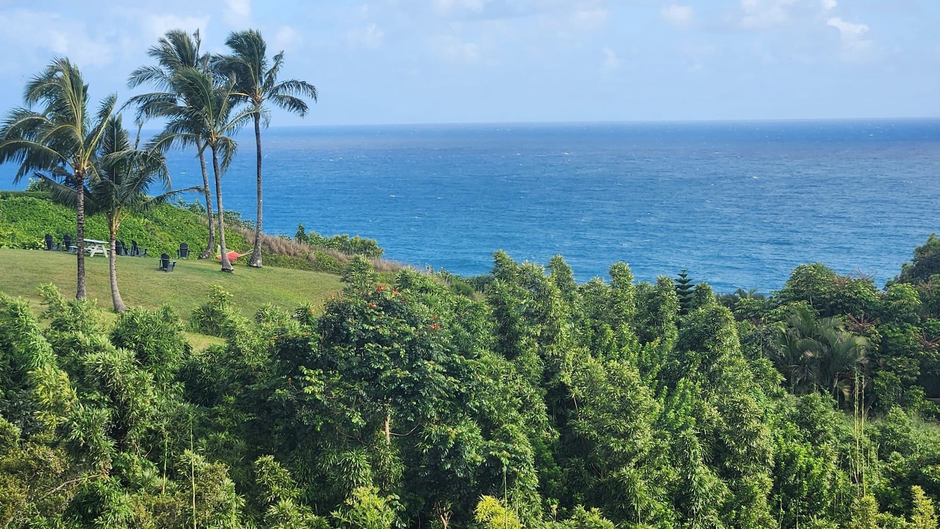 Princeville Vacation Rentals, Wai Lani - Ocean Views From The House.