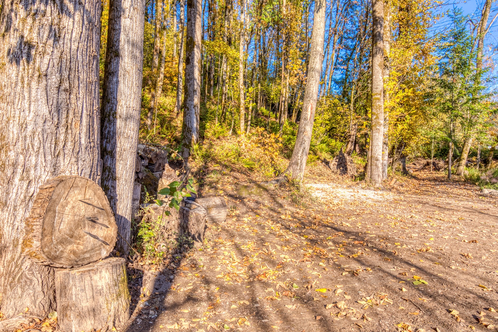 Clackamas Vacation Rentals, Duck Crossing - Enjoy the outdoors and the natural beauty of Oregon