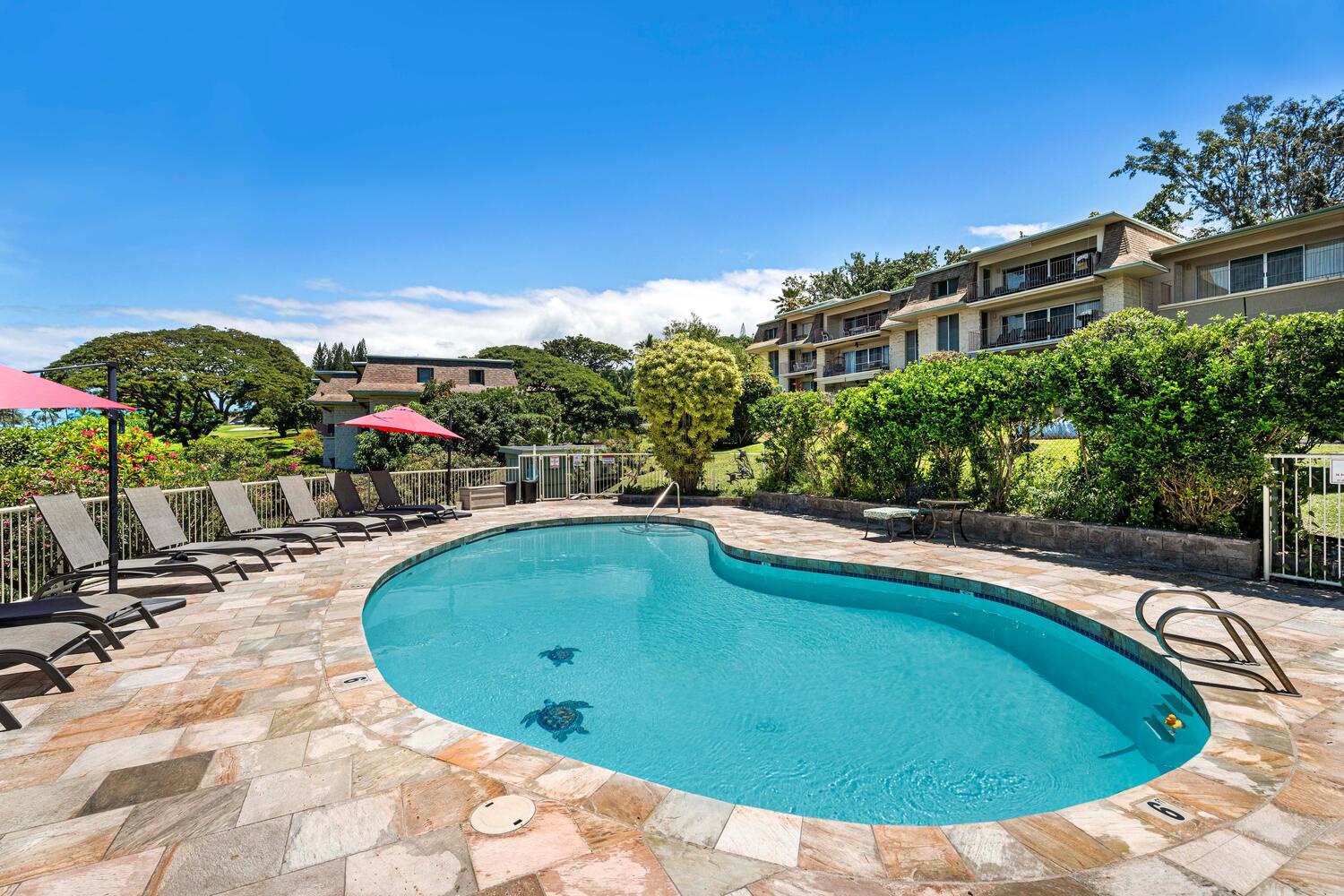 Kailua Kona Vacation Rentals, Keauhou Akahi 302 - Soak up the sun or enjoy a refreshing swim.