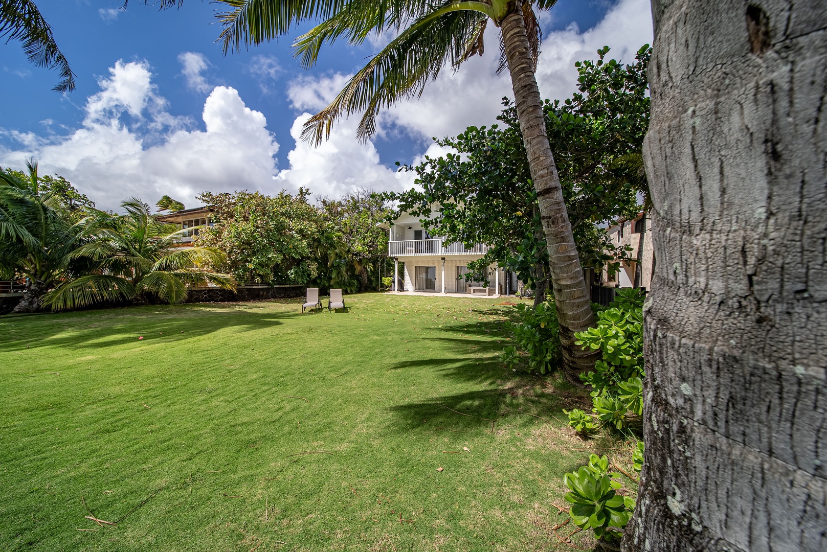 Honolulu Vacation Rentals, Honolulu Beachfront Retreat - Lush beachfront yard leading directly to the ocean, where tropical breezes and swaying palms create the perfect paradise setting.