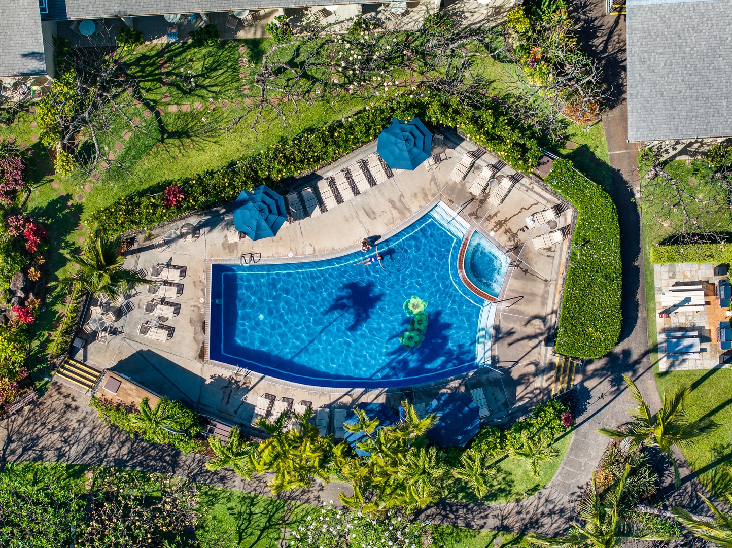 Lahaina Vacation Rentals, Napili Shores F-252 - Cool off in the crystal-clear main pool steps from Napili Shores F-252.