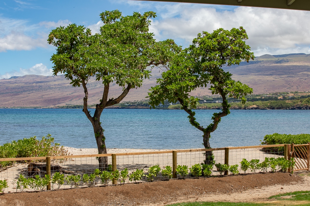 Kamuela Vacation Rentals, Puako Beach Getaway - Your beachfront haven with Puako Big Beach right at your doorstep, ready to explore!