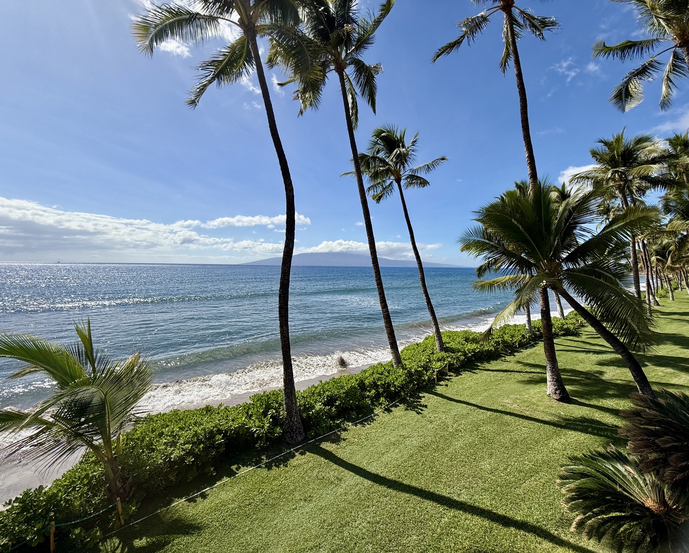 Lahaina Vacation Rentals, Puamana 254-2 - Peaceful ocean view with swaying palm trees and a grassy lawn—perfect for relaxing by the shore.