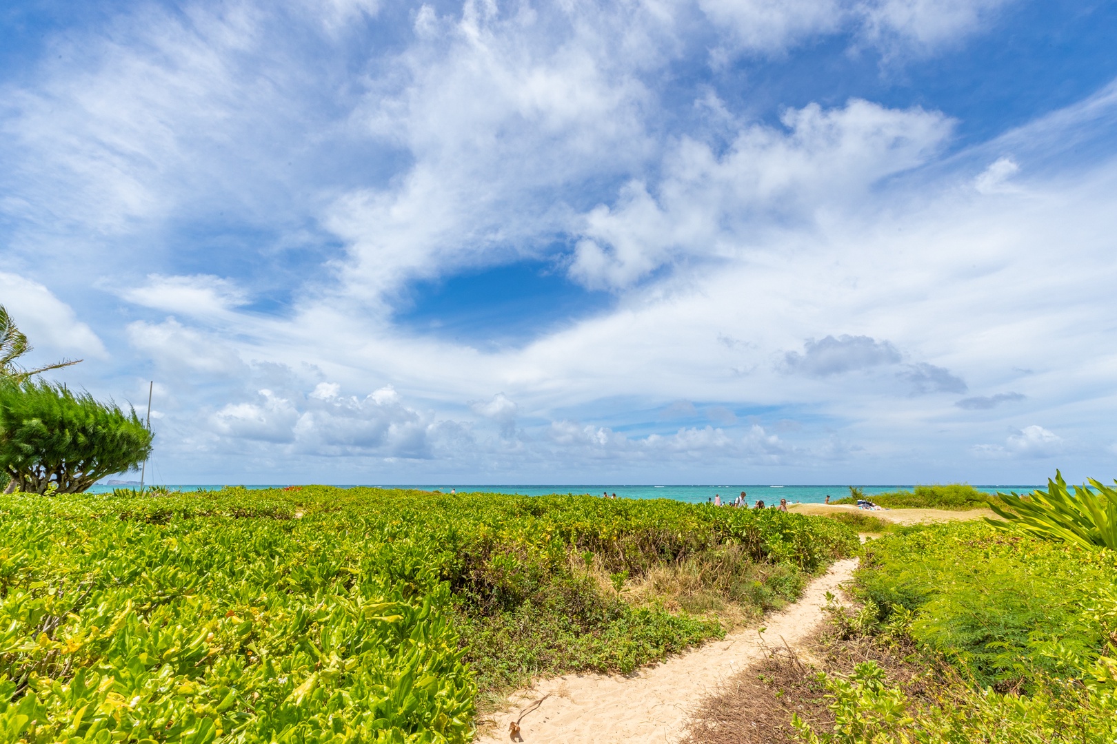 Kailua Vacation Rentals, Lanikai Breeze - Through the Naupaka hedge to the Lanikai Beach