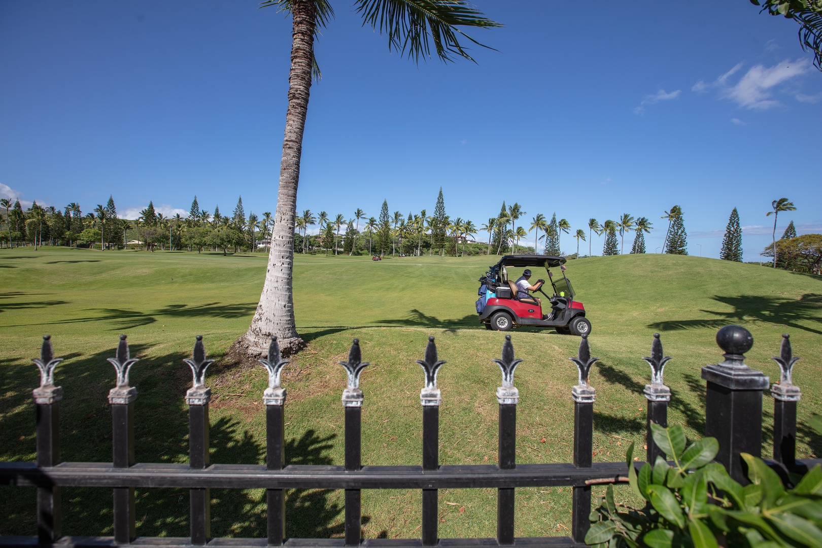 Golf course right past the back fence, with open fairway and palms under a big blue sky.
