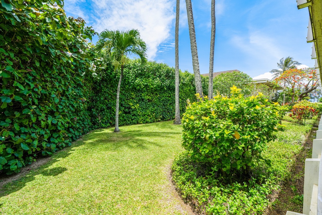 Kapaa Vacation Rentals, Kahaki Hale - Lush green tropical plants will make your stay more relaxing.