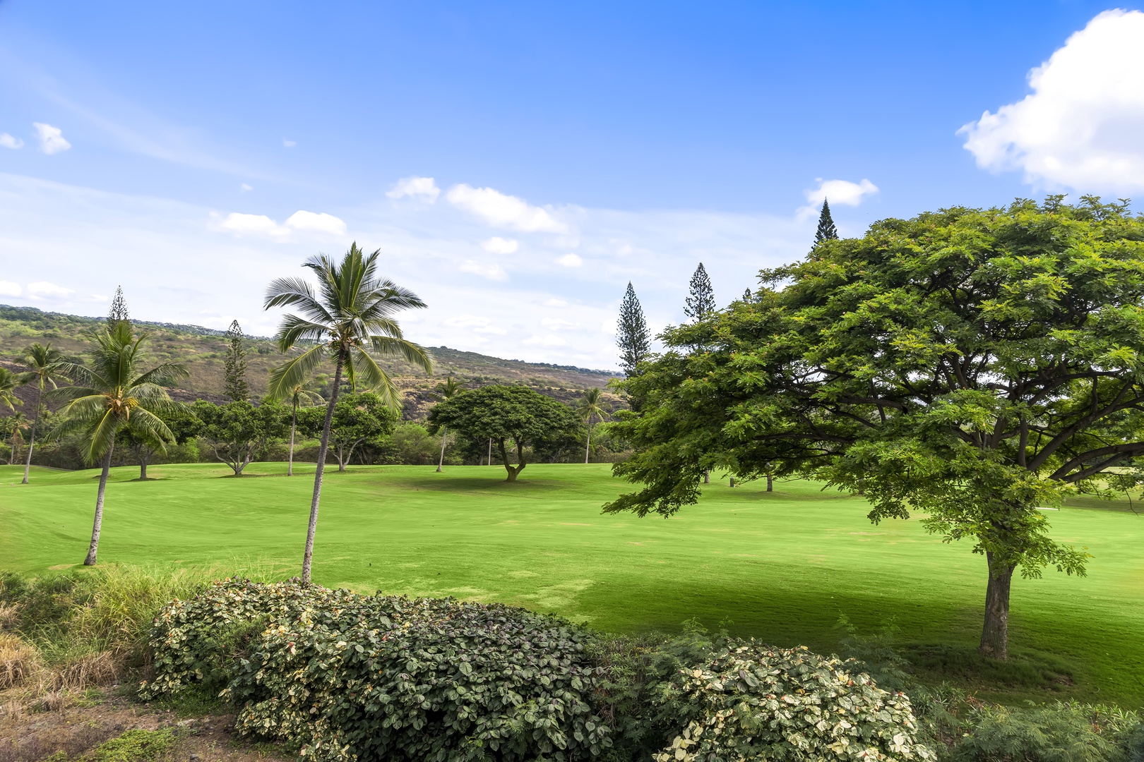 Kailua Kona Vacation Rentals, Holua Kai #9 - Overlooking the lush golf course