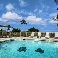 Kailua Kona Vacation Rentals, Keauhou Akahi 312 - Oceanview Pool