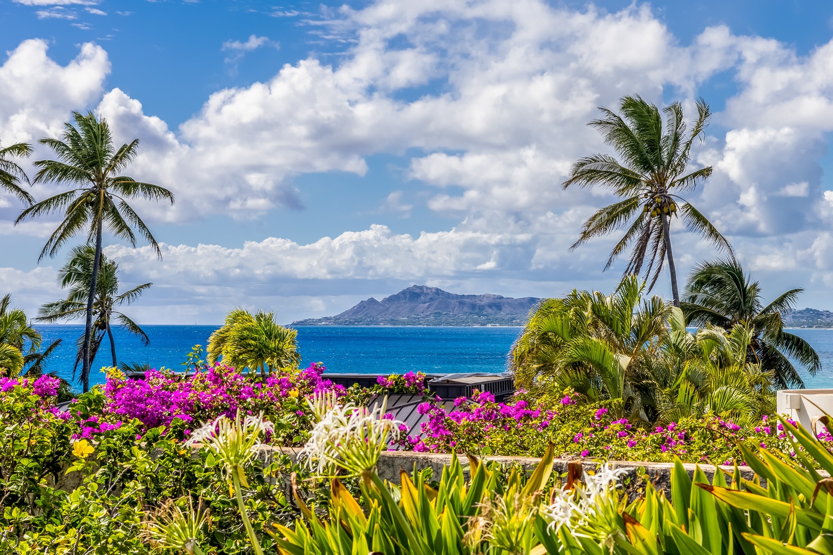 Honolulu Vacation Rentals, Hale Ola - One of the Views from the Villa