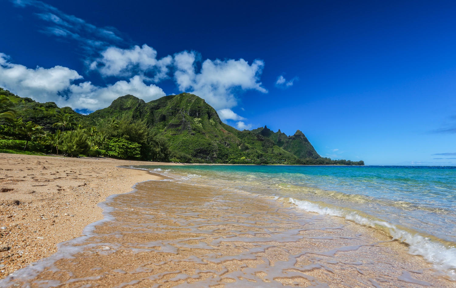 Hanalei Vacation Rentals, Hallor House TVNC #5147 - Tunnels beach located steps from your back yard
