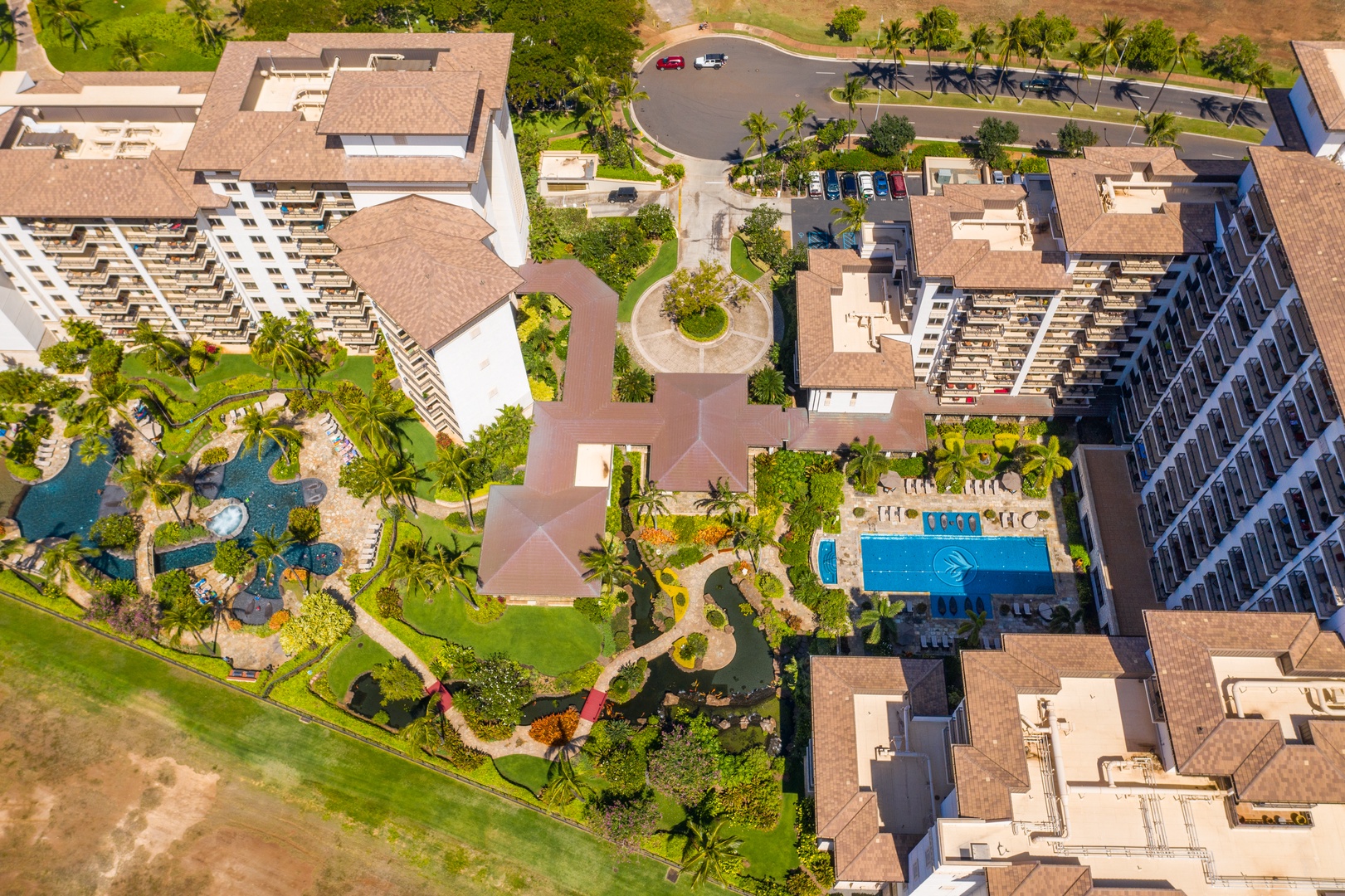 Straight down over the rooftops, a pool and garden paths threading between.